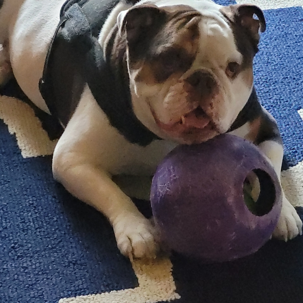 Meet your Posher, Zandy - Picture 16 of 16